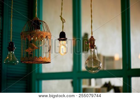Bulbs Erickson Suspended With The Cells With The Decoration Bird.yellow Warm Lamp Light