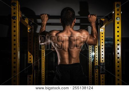 Rear View Of Healthy Muscular Young Man With His Arms Stretched Out, Strong Athletic Man Fitness Mod