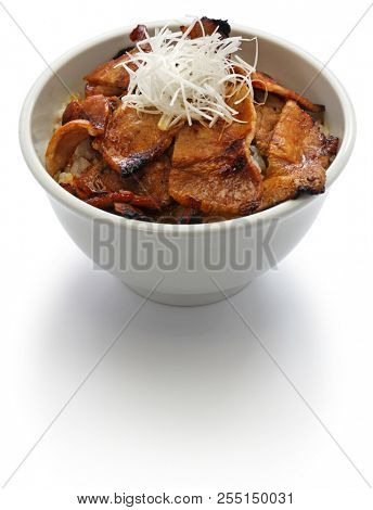 teriyaki pork rice bowl, butadon, japanese food