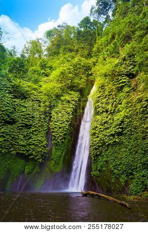 Waterfall Hidden In The Tropical Jungle. Munduk, Bali, Indonesia