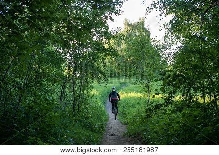 Photo From Back Of Woman Bicyclist Wearing Helmet Riding Along Road In Woods During Day