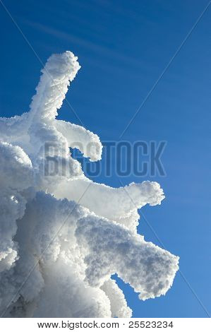 Snow-bound fir-tree on a background blue sky.