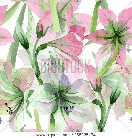 Watercolor Pink Amarylis Flower. Floral Botanical Flower. Seamless Background Pattern.