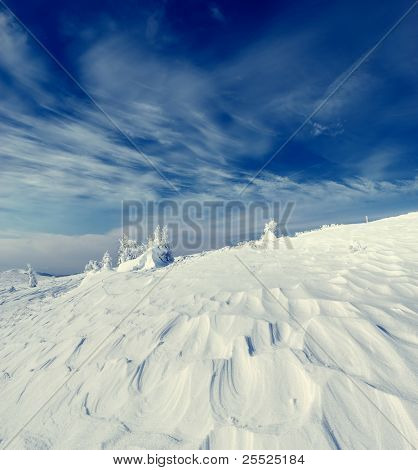 산 Carpathians, 우크라이나에서에서 눈 겨울 풍경