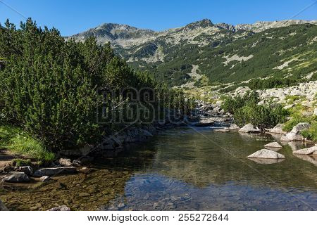 Amazing Landscape Of Banderitsa River, Pirin Mountain, Bulgaria