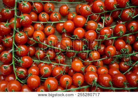 Bright Red Tomatoes At A Local Grocery Store In Arcidosso, Italy. These Brightly Colored Fruits Crea