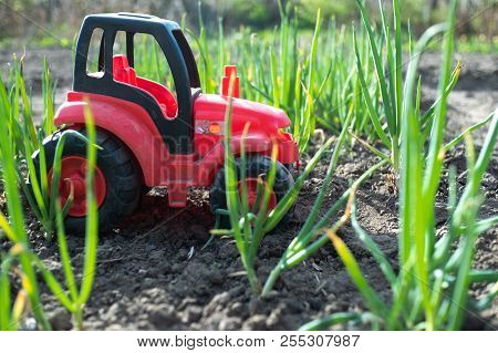In The Field With Green Sprouts Is A Red Tractor, Sowed The Field With A Tractor