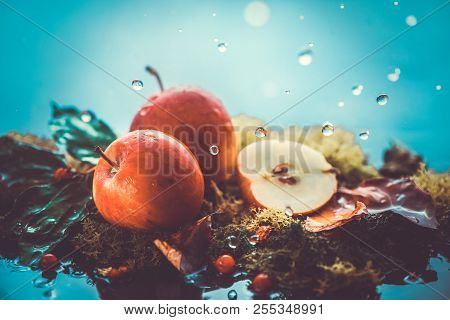 Autumn Apples Under Rain Still Life. Fall Harvest Header With Water Drops And Copy Space. Red Small 