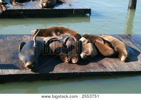 Уплотнения