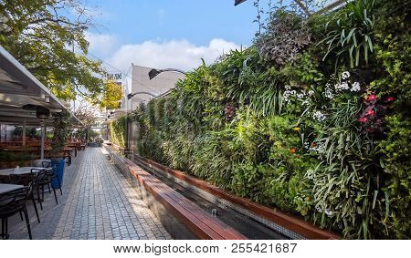 Johannesburg, South Africa, 24 August - 2018: Living Wall Made Of Plants In A Modern Restaurant Terr