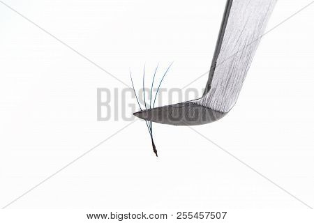 Eyelash Extension Tools On White Background. Accessories For Eyelash Extensions. Artificial Blue Omb