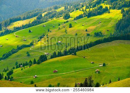 Summer landscape of Switzerland rural country side, near Habkern village