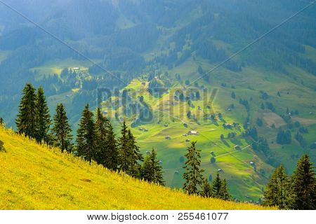 Summer landscape of Switzerland rural country side, near Habkern village