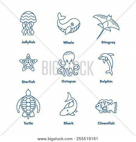 Set Sea Ocean Animals Vector Photo Free Trial Bigstock Cute underwater animals in circle composition. set sea ocean animals vector photo