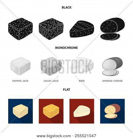 Brynza, Smoked, Colby Jack, Pepper Jack.different Types Of Cheese Set Collection Icons In Black, Fla