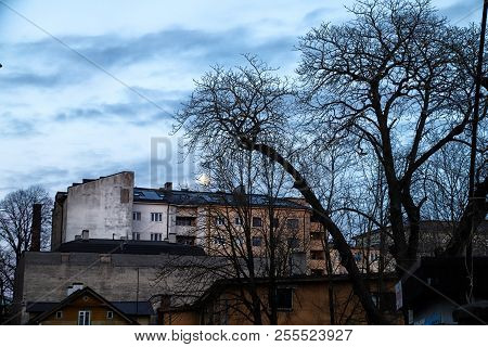 Tree Without Leaves And House In City