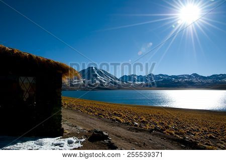 Miscanti Lagoon - Atacama Region - Chile