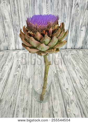 Artichoke Plant In A Vase On A Wooden Background. Flowering Artichoke