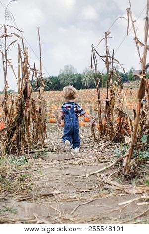 Young boy running through a pumpkin patch