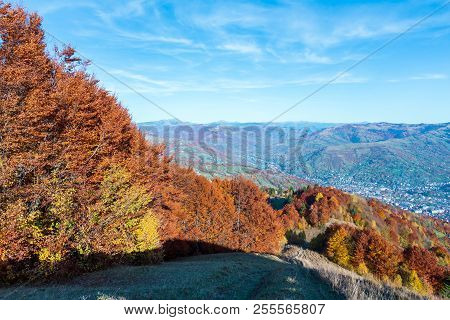 Autumn Carpathian Mountains Landscape With Multicolored Yellow-orange-red-brown Trees On Slope And  