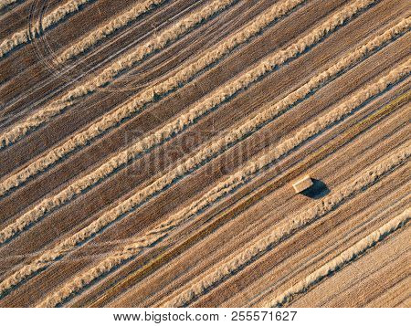 Panoramic from flying drones to an agricultural field after harvesting wheat. Diagonal strips of land after harvest, natural background. Top view