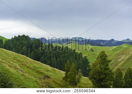 Beautiful Scenery Of Mountains Along The Way On Whanganui River Road In National Park In Autumn , Wh