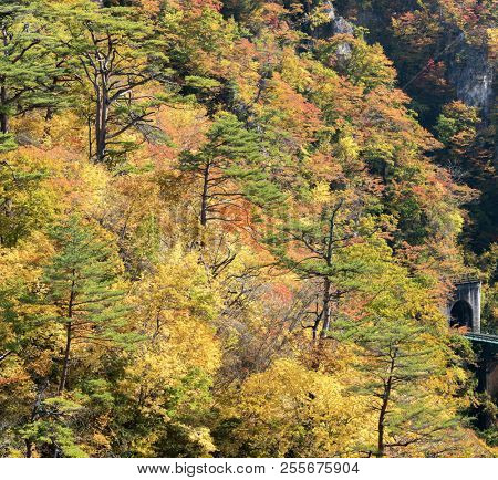 Naruko Gorge valley with rail tunnel in Miyagi Tohoku Japan