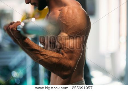 A Young Athlete Trains In The Gym. Trians Biceps Muscules