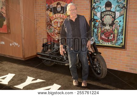 LOS ANGELES - AUG 28:  Edward James Olmos at the 