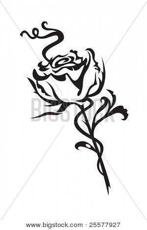 rosa