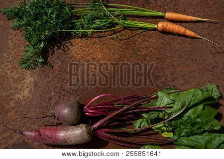 Raw Fresh Beetroots And Carrots From New Harvest Make Frame Up And Down On Rusty Melallic Surface Te