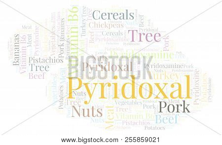 Pyridoxal Word Cloud. Wordcloud Made With Text Only.