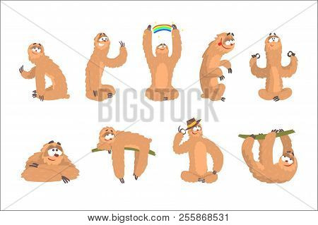 Sloth Animal Cute Cartoon Character Different Life Situations And Emotions Series Of Flat Cartoon St