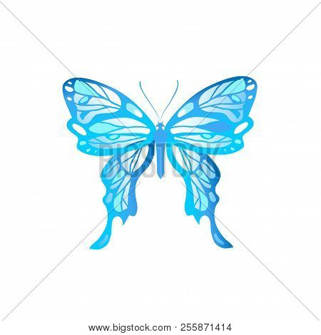 Beautiful Butterfly Isolated. Insect Icon. Vector Illustration