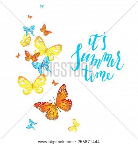 Beautiful Butterfly Isolated. Insect Icon. Summer Vector Illustration