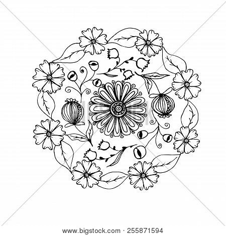 Hand Drawn Mandala With Different Flowers Anti Stress Therapy Pattern Coloring Book Raster