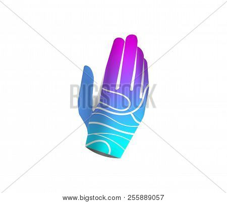 Sport Gloves Isolated On White Background. Gloves Design For Active Sport. Insulated Gloves Vector I