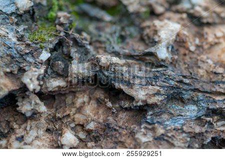 Close-up Of Rocks, Salt And Minerals. Shallow Depth Of Field.