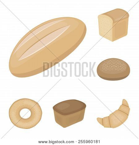 Types Of Bread Cartoon Icons In Set Collection For Design. Bakery Products Vector Symbol Stock Web I