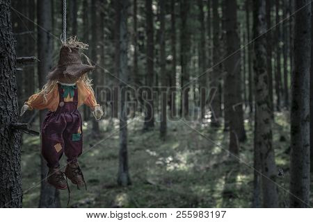 Scary Scenery With A Shabby Scarecrow Tied To A Tree Branch With A Rope And Left To Hang, In The Dar