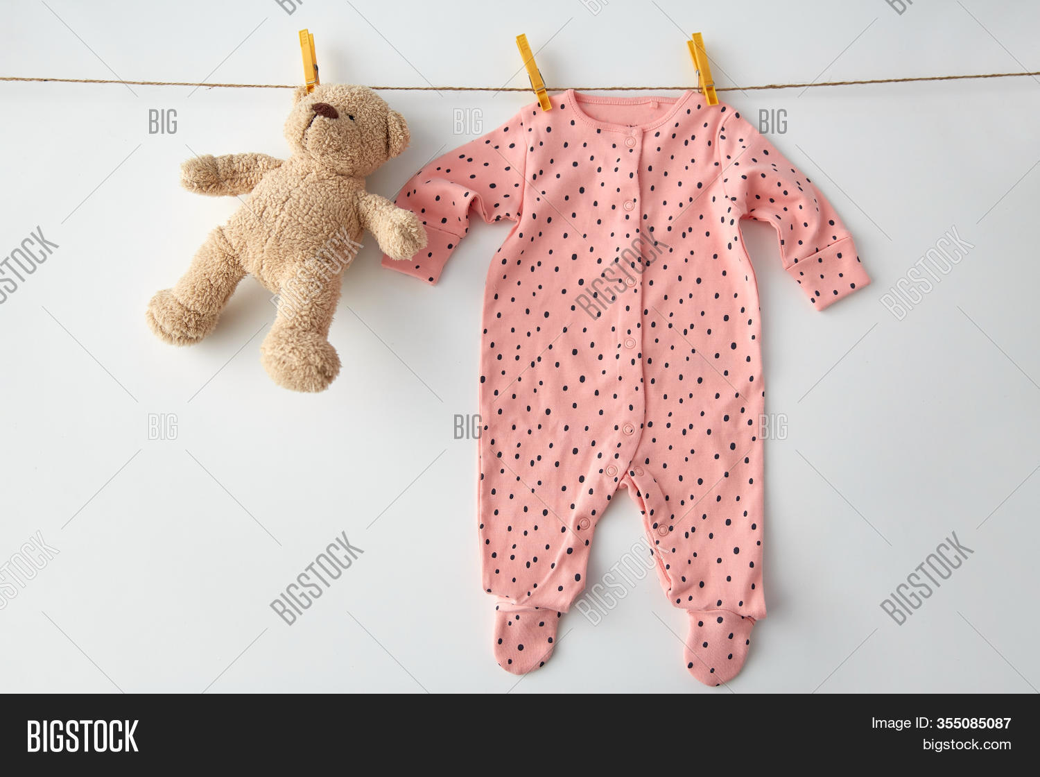 teddy laundry