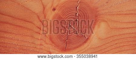 Larch Wood Background