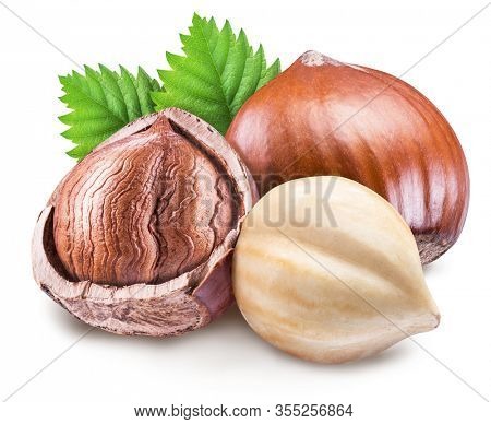 Hazelnuts Shell, Hazel Image & Photo (Free Trial) | Bigstock