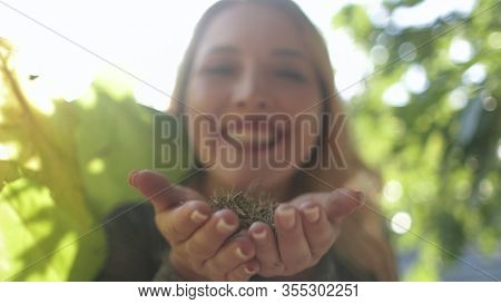 Blonde Girl Blow Away Blade Of Grass Bokeh Effect. Pretty Young Woman Keep Pine Needles in Palms Face Portrait Closeup. Caucasian Female Adult Smile Nature Background Good Mood