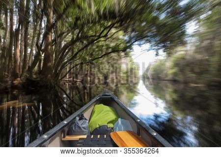 POV shot of bow of a canoe moving through forest canopy in the Okefenokee swamp, long exposure with motion blur.