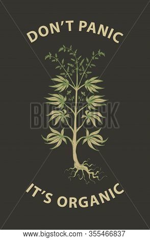 Vector Banner For Legalize Marijuana With Words Do Not Panic, It Is Organic. Hemp, Cannabis Or Marij