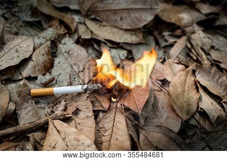 Close Up Cigarette Butt Non-smoked Carelessly Are Thrown Into Dry Grass On The Ground Causing A Dang