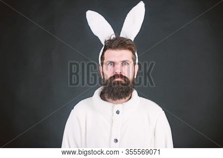 White Bunny Symbol Of Easter Holiday. Soft And Tender. Guy With Long Bunny Or Rabbit Ears On Black B