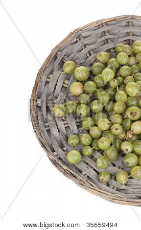 Grüne Stachelbeere auf Weide-Matte, isolated on white
