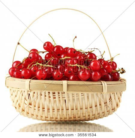 redcurrants ในตะกร้าแยกต่างหากบนพื้นสีขาว